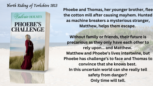Phoebe and her younger brother, Thomas flee the cotton mill in which they had been working. They are unexpectedly aided by a mysterious stranger, Matthew. Without family or friends, their future i